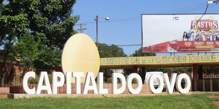 A crise climática em Bastos/SP, a”Capital do Ovo”, onde tem mais galinha que gente