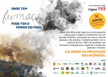Triunfo Transbrasiliana reforça campanha no combate e prevenção de incêndios