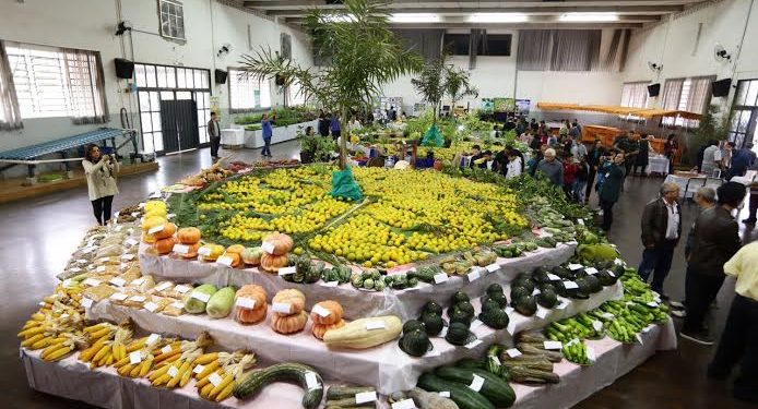 A Expo-Agrícola da Abcel está de volta! 64ª Expo-Agrícola da região de Lins será em julho com programação variada e gratuita