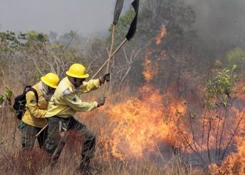 Queimadas e incêndios afetam o sistema elétrico na região de Bauru