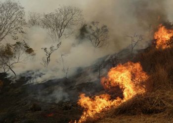 Os males da seca e das queimadas no Brasil