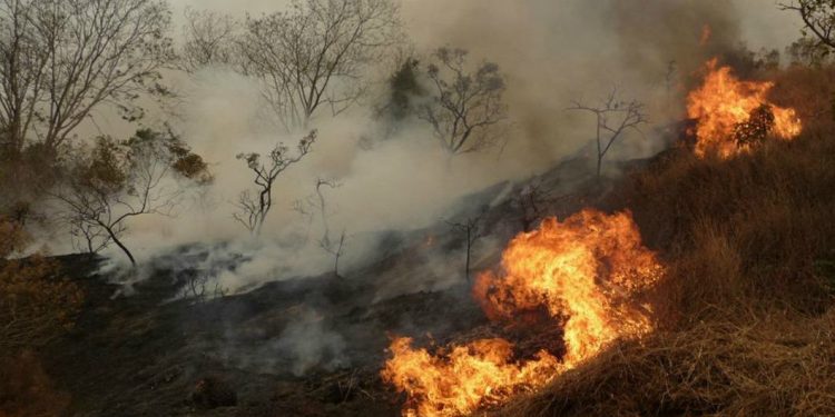 Os males da seca e das queimadas no Brasil