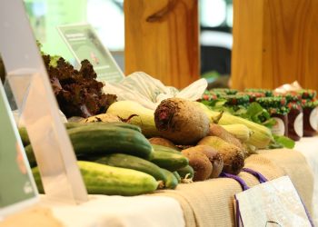 Sesc São Paulo realiza a 8ª edição do Experimenta!  Comida, saúde e cultura