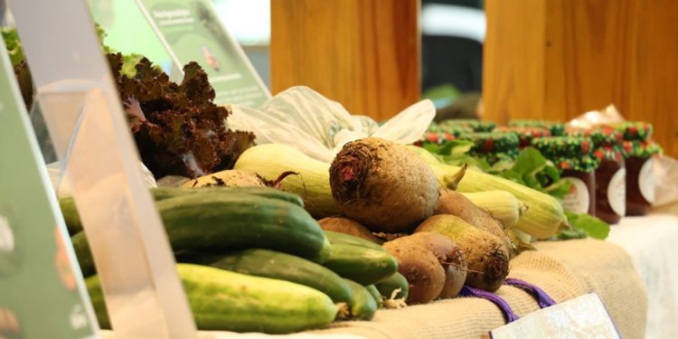 Sesc São Paulo realiza a 8ª edição do Experimenta!  Comida, saúde e cultura