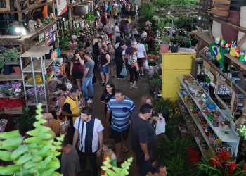 CEAGESP preenche Bauru de colorido das flores com feira neste fim de semana