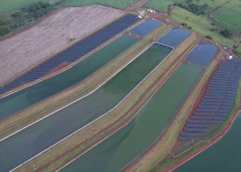 Sabesp amplia produção de energia limpa com a entrega de mais quatro usinas solares