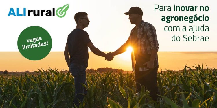 Programa ALI Rural do Sebrae-SP está com inscrições abertas para produtores rurais e pecuaristas das regiões de Lins, Bauru e Jaú