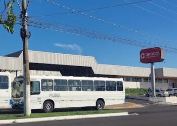 Empresa de Lins cria programas de apoio educacional para colaboradores com filhos atípicos