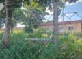 Descaso com a população linense manifesta-se através do acúmulo de lixo e mato alto em prédio público