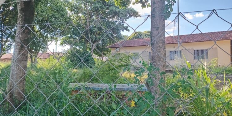 Descaso com a população linense manifesta-se através do acúmulo de lixo e mato alto em prédio público