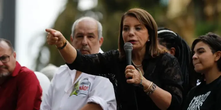 Educação paulista: quando o desmonte vira projeto de governo. Artigo: Profª. Bebel – Deputada Estadual(PT-SP)