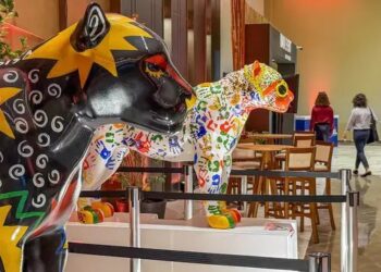 Animais conectam paises? Artigo: Nilto Tatto – Deputado Federal (PT-SP)