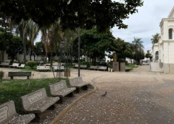 VAMOS FALAR SOBRE A CIDADE DE LINS? Praça Dom Bosco enfrenta problemas de sujeira causada por fezes de pássaros e falta de conservação