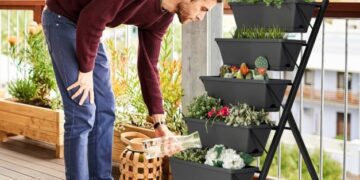 No Dia dos Pais dê Presentes vivos: plantas unem pais e filhos e ainda deixam a casa mais verde.